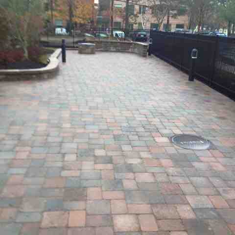 DIY Yard Drainage Solutions: 12 Best Tips to Save Money